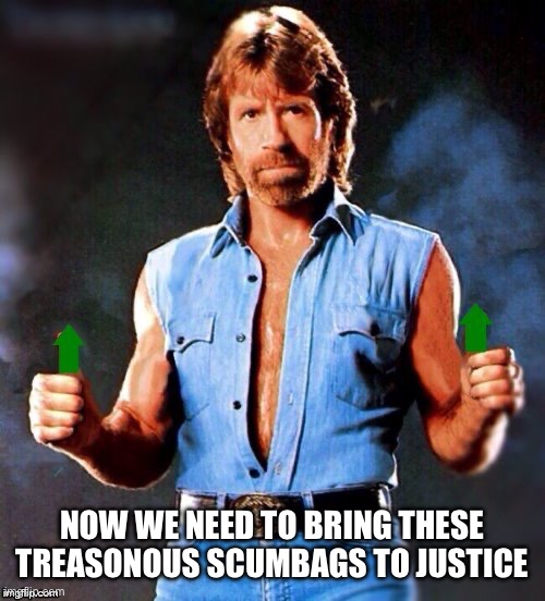 Chuck Norris Upvote | NOW WE NEED TO BRING THESE TREASONOUS SCUMBAGS TO JUSTICE | image tagged in chuck norris upvote | made w/ Imgflip meme maker