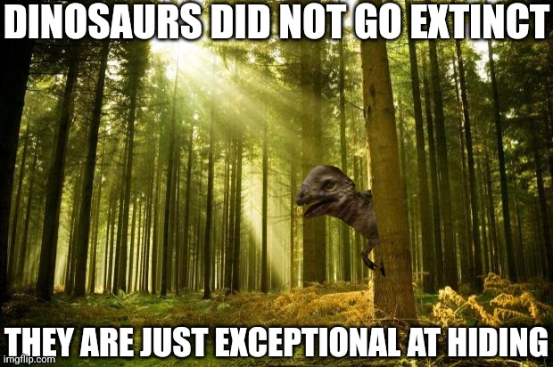 Dinosaurs could just be great at hiding | DINOSAURS DID NOT GO EXTINCT; THEY ARE JUST EXCEPTIONAL AT HIDING | image tagged in sunlit forest,dinosaur,hiding,problem solved,mysteries,thinking | made w/ Imgflip meme maker
