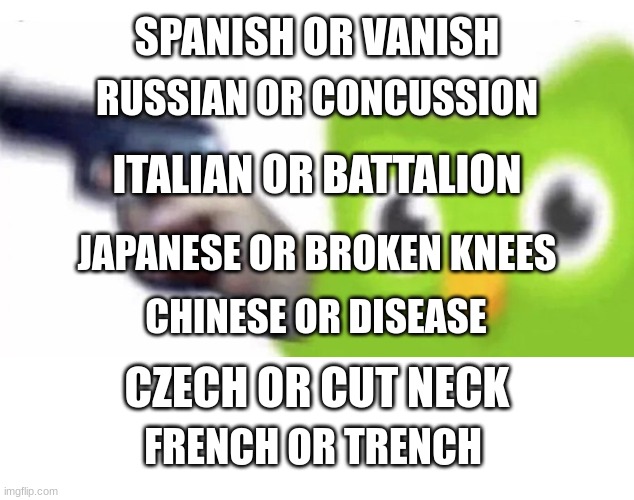 Duolingo Every Threat | SPANISH OR VANISH; RUSSIAN OR CONCUSSION; ITALIAN OR BATTALION; JAPANESE OR BROKEN KNEES; CHINESE OR DISEASE; CZECH OR CUT NECK; FRENCH OR TRENCH | image tagged in duolingo gun | made w/ Imgflip meme maker