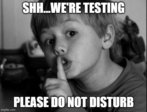 Shhhh | SHH...WE'RE TESTING; PLEASE DO NOT DISTURB | image tagged in shhhh | made w/ Imgflip meme maker