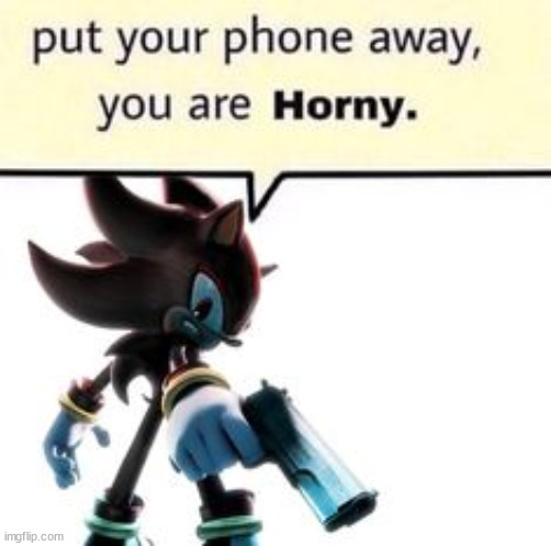 shadow put your phone away | image tagged in shadow put your phone away | made w/ Imgflip meme maker