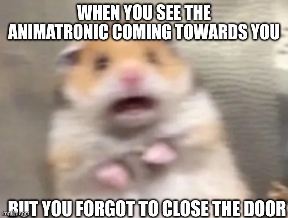 scared gineapig | WHEN YOU SEE THE ANIMATRONIC COMING TOWARDS YOU; BUT YOU FORGOT TO CLOSE THE DOOR | image tagged in scared gineapig | made w/ Imgflip meme maker