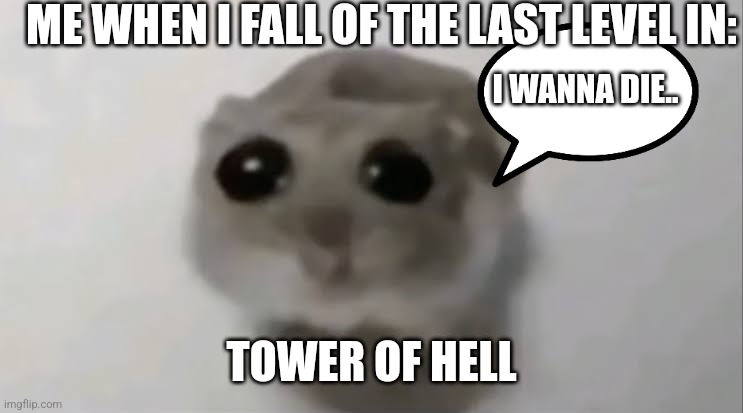 Sad Hamster | ME WHEN I FALL OF THE LAST LEVEL IN:; I WANNA DIE.. TOWER OF HELL | image tagged in sad hamster | made w/ Imgflip meme maker
