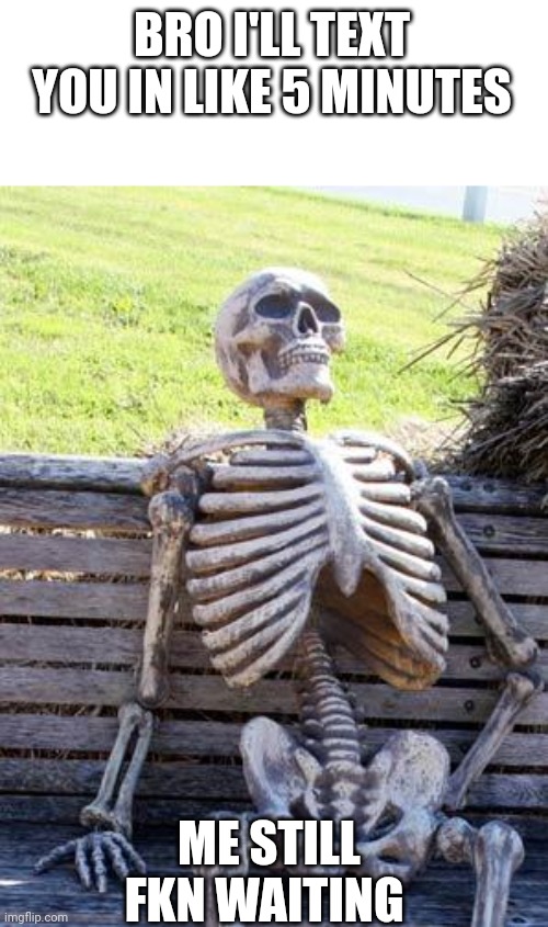 It's like getting a package it takes 3-5 business days | BRO I'LL TEXT YOU IN LIKE 5 MINUTES; ME STILL FKN WAITING | image tagged in memes,waiting skeleton,relatable | made w/ Imgflip meme maker