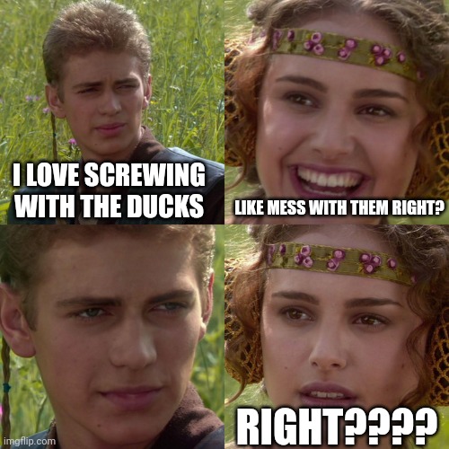 Dear God Anakin | I LOVE SCREWING WITH THE DUCKS; LIKE MESS WITH THEM RIGHT? RIGHT???? | image tagged in anakin padme 4 panel,funny,ducks,screwed,dear god | made w/ Imgflip meme maker