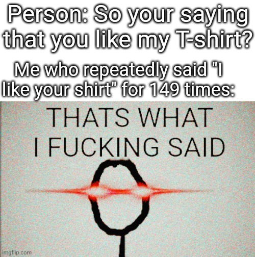 FRIKIN' IDIOT!!!!!!!! | Person: So your saying that you like my T-shirt? Me who repeatedly said "I like your shirt" for 149 times: | image tagged in thats what i f king said | made w/ Imgflip meme maker