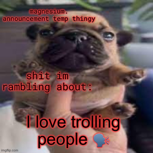 think they a bit to mad | I love trolling people 🗣️ | image tagged in pug temp | made w/ Imgflip meme maker