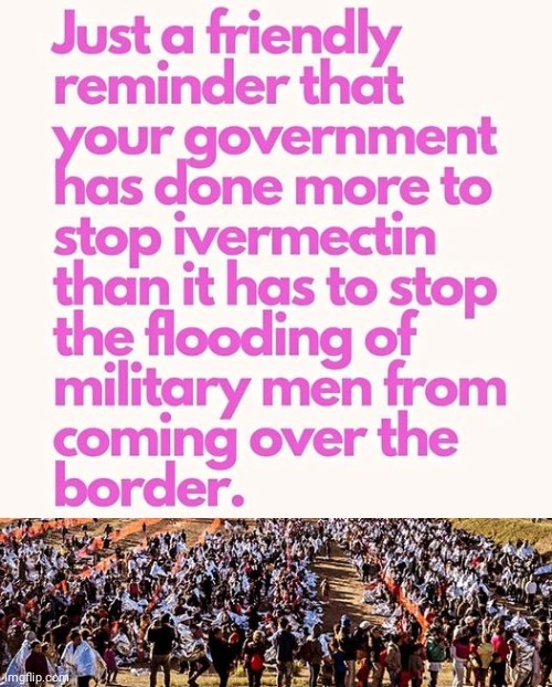 Stop ivermectin | image tagged in illegals,government,priorities,invasion | made w/ Imgflip meme maker
