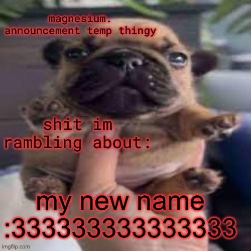 i feel so much better now | my new name :333333333333333 | image tagged in pug temp | made w/ Imgflip meme maker