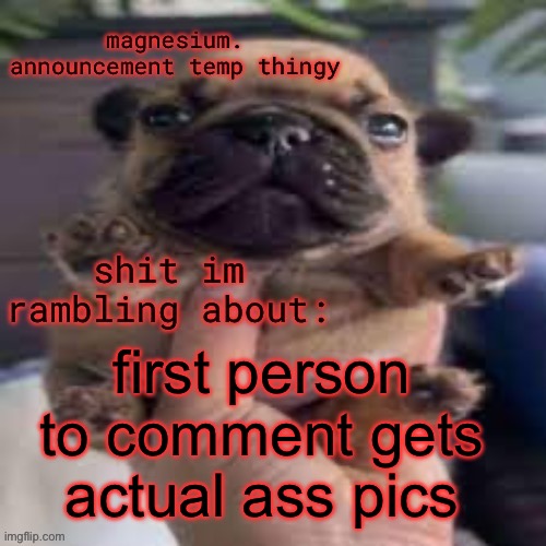 pug temp | first person to comment gets actual ass pics | image tagged in pug temp | made w/ Imgflip meme maker