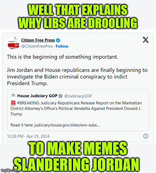 The real reason behind the lib slander Jordan campaign | WELL THAT EXPLAINS WHY LIBS ARE DROOLING; TO MAKE MEMES SLANDERING JORDAN | image tagged in democrats,not happy,their bogus investigations,are getting investigated | made w/ Imgflip meme maker