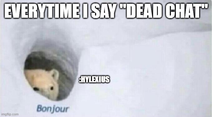 my friend every time chat is dead | EVERYTIME I SAY "DEAD CHAT"; :HYLEXIUS | image tagged in bonjour bear | made w/ Imgflip meme maker
