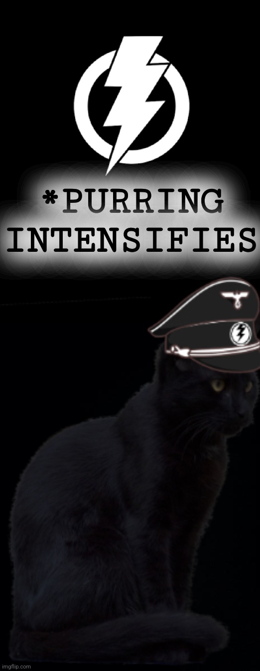 *PURRING INTENSIFIES | image tagged in flag of the a m t 2022 - 2023,black background | made w/ Imgflip meme maker