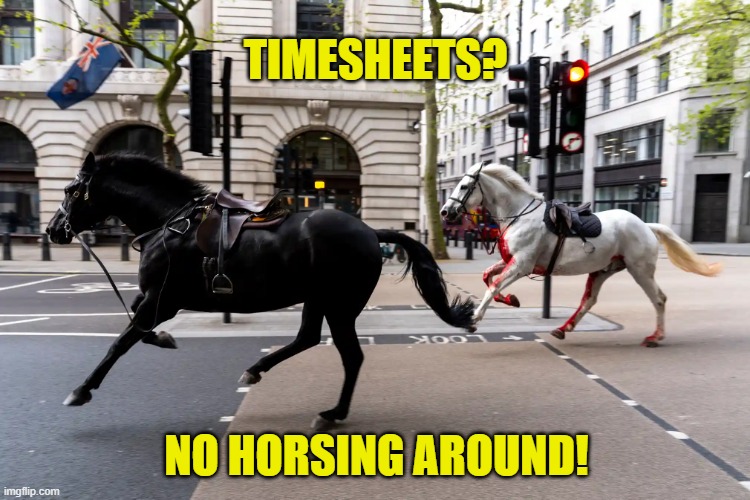 Horsing around timesheet reminder | TIMESHEETS? NO HORSING AROUND! | image tagged in timesheet reminder,timesheet meme,horses,funny memes,escaped horses | made w/ Imgflip meme maker