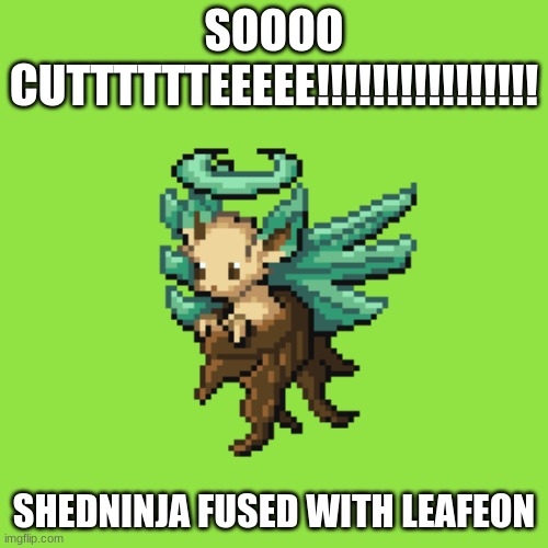 SOOOO CUTTTTTTEEEEE!!!!!!!!!!!!!!!! SHEDNINJA FUSED WITH LEAFEON | made w/ Imgflip meme maker
