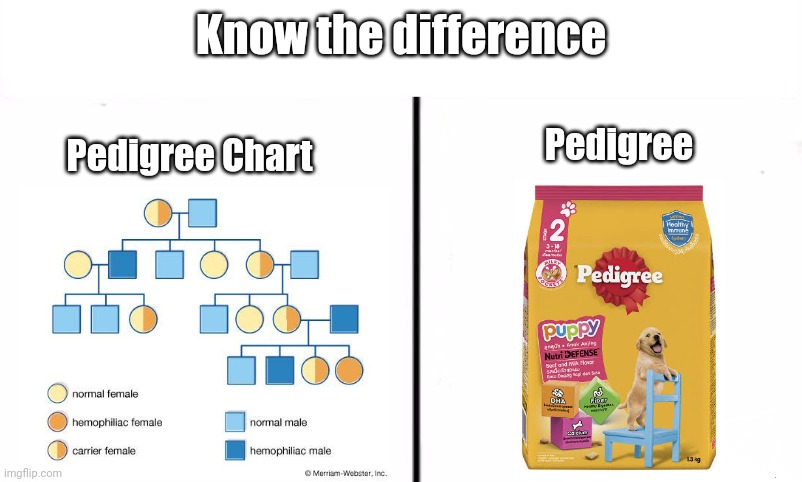 Pedigree chart vs. Pedigree | Know the difference; Pedigree; Pedigree Chart | image tagged in know the difference psychic and side kick,memes,biology,pedigree,science | made w/ Imgflip meme maker