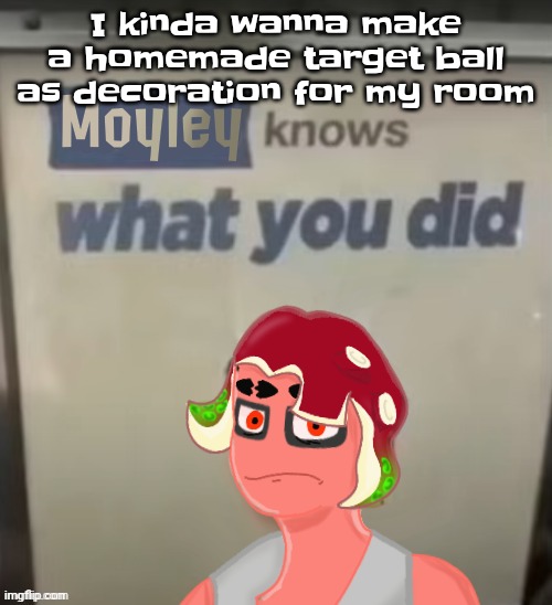 Like dude | I kinda wanna make a homemade target ball as decoration for my room | image tagged in moyley knows what you did | made w/ Imgflip meme maker