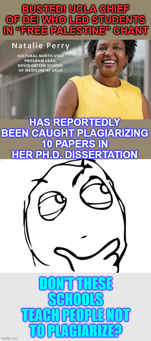 What do the teach in American higher education? | BUSTED! UCLA CHIEF OF DEI WHO LED STUDENTS IN “FREE PALESTINE” CHANT; HAS REPORTEDLY BEEN CAUGHT PLAGIARIZING 10 PAPERS IN HER PH.D. DISSERTATION; DON'T THESE SCHOOLS TEACH PEOPLE NOT TO PLAGIARIZE? | image tagged in memes,question rage face,more,plagiarism,uncovered | made w/ Imgflip meme maker
