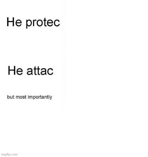 He protec he attac but most importantly | image tagged in he protec he attac but most importantly | made w/ Imgflip meme maker