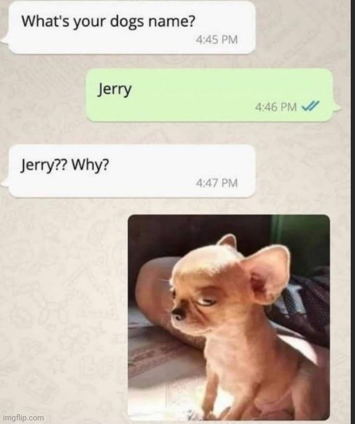 jerry | image tagged in tom and jerry | made w/ Imgflip meme maker