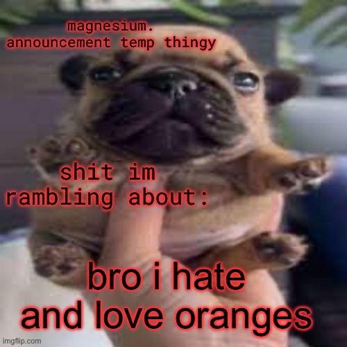 pug temp | bro i hate and love oranges | image tagged in pug temp | made w/ Imgflip meme maker