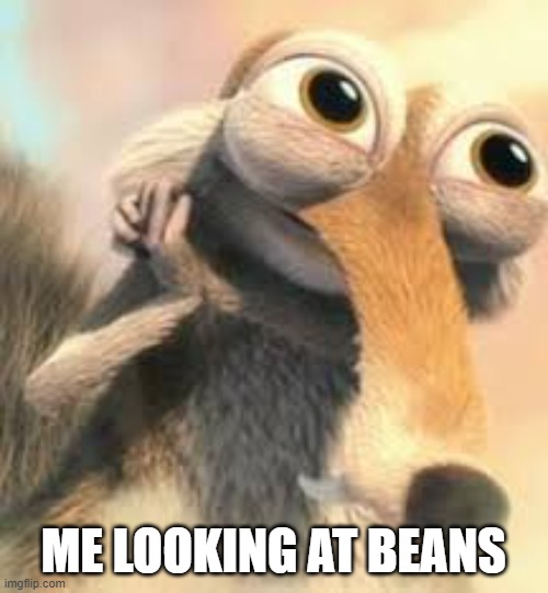 Ice age squirrel in love | ME LOOKING AT BEANS | image tagged in ice age squirrel in love | made w/ Imgflip meme maker