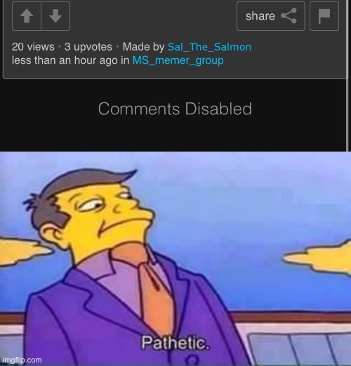 This time I wasn’t even arguing I was just making a joke related to the meme | image tagged in skinner pathetic | made w/ Imgflip meme maker