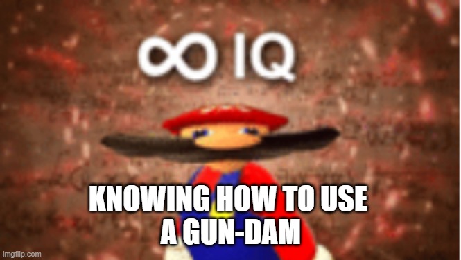 Infinite IQ | KNOWING HOW TO USE 
A GUN-DAM | image tagged in infinite iq | made w/ Imgflip meme maker