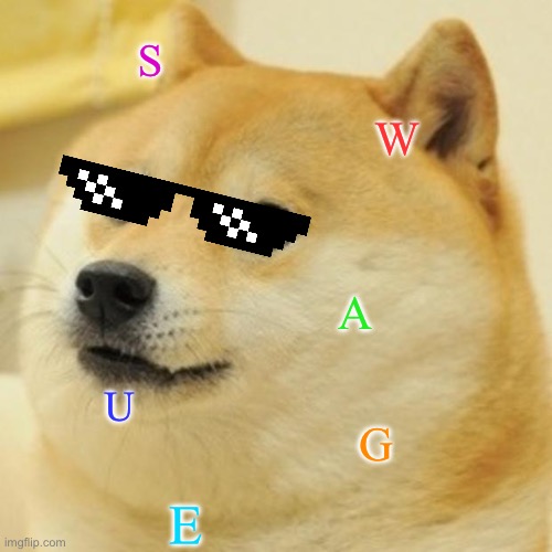 Doge | S; W; A; U; G; E | image tagged in memes,doge | made w/ Imgflip meme maker