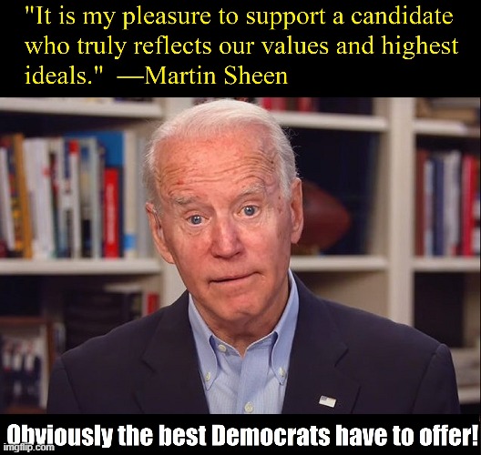 Loyalty to the Democratic party is commendable but stupid | image tagged in vince vance,senile,corrupt,creepy joe biden,democrats,memes | made w/ Imgflip meme maker