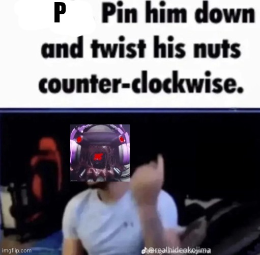 Mods. Pin him down and twist his nuts counter-clockwise. | P | image tagged in mods pin him down and twist his nuts counter-clockwise | made w/ Imgflip meme maker