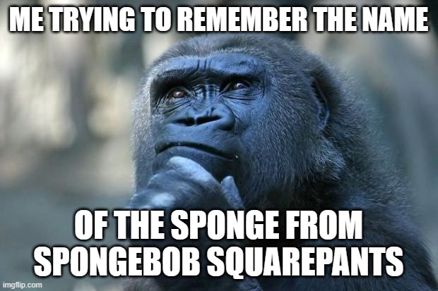 Deep Thoughts | ME TRYING TO REMEMBER THE NAME; OF THE SPONGE FROM SPONGEBOB SQUAREPANTS | image tagged in deep thoughts | made w/ Imgflip meme maker