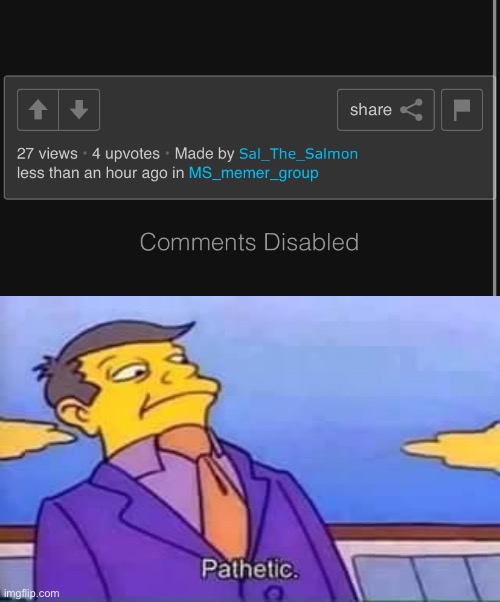 Short story: I comment on a post like usual joking  about the meme, sally noticed me and I didn’t realized they made it and this | image tagged in skinner pathetic | made w/ Imgflip meme maker