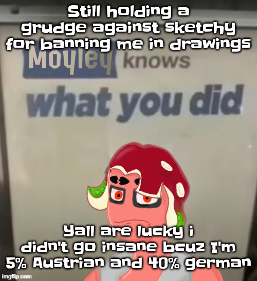 Yuh | Still holding a grudge against sketchy for banning me in drawings; Yall are lucky i didn't go insane bcuz I'm 5% Austrian and 40% german | image tagged in moyley knows what you did | made w/ Imgflip meme maker