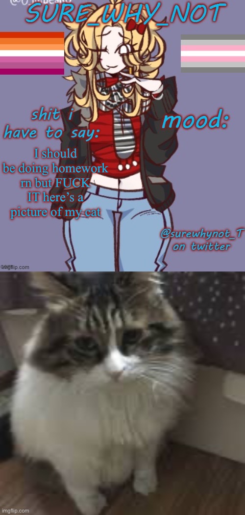 I should be doing homework rn but FUCK IT here’s a picture of my cat | image tagged in sure_why_not announcement template | made w/ Imgflip meme maker