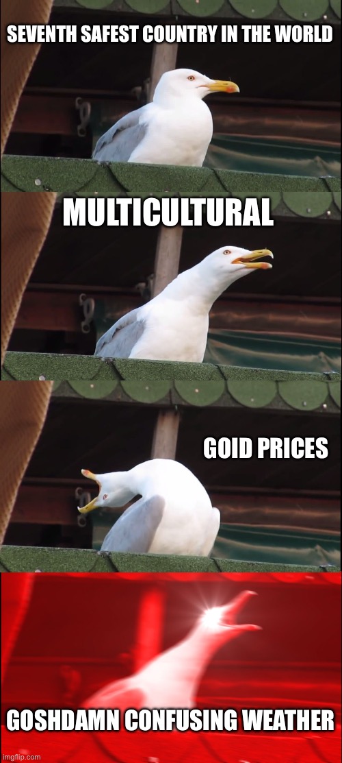 Benefits of living in Canada (part three) | SEVENTH SAFEST COUNTRY IN THE WORLD; MULTICULTURAL; GOOD PRICES; GOSHDAMN CONFUSING WEATHER | image tagged in memes,inhaling seagull | made w/ Imgflip meme maker