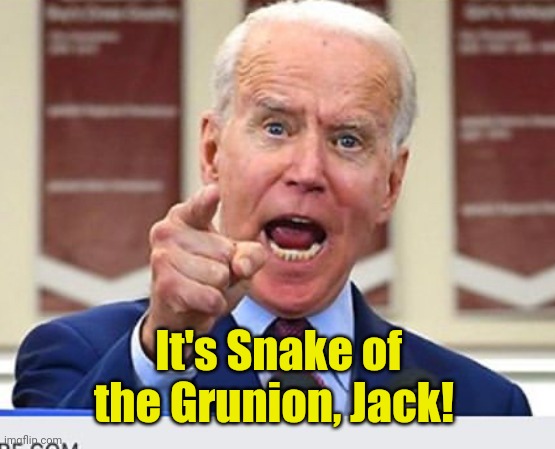 Joe Biden no malarkey | It's Snake of the Grunion, Jack! | image tagged in joe biden no malarkey | made w/ Imgflip meme maker