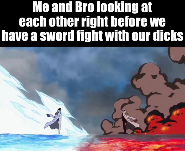 I won, as I had the longer sword. | Me and Bro looking at each other right before we have a sword fight with our dicks | image tagged in one piece akainu vs aokiji,dicks,hehe,god had no hand in the creation of this meme,funny,memes | made w/ Imgflip meme maker