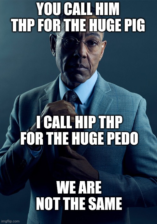 Gus Fring we are not the same | YOU CALL HIM THP FOR THE HUGE PIG; I CALL HIP THP FOR THE HUGE PEDO; WE ARE NOT THE SAME | image tagged in gus fring we are not the same | made w/ Imgflip meme maker