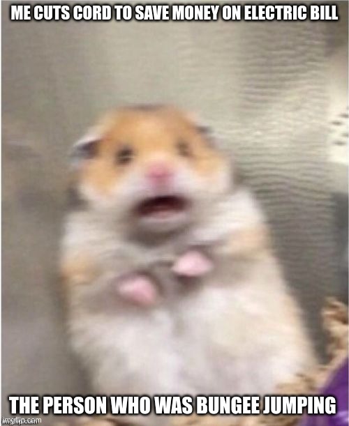 Scared Hamster | ME CUTS CORD TO SAVE MONEY ON ELECTRIC BILL; THE PERSON WHO WAS BUNGEE JUMPING | image tagged in scared hamster,funny,scary | made w/ Imgflip meme maker