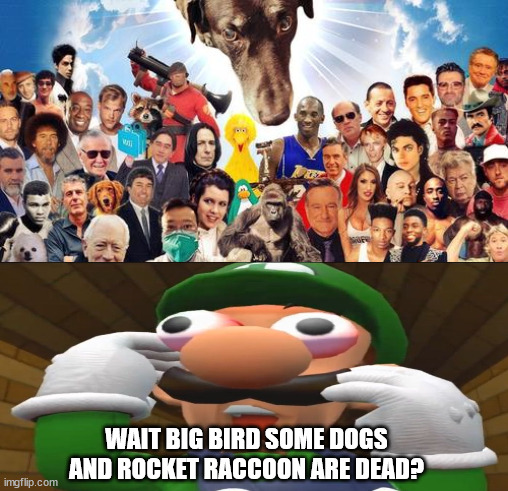 luigi shocked at heaven | WAIT BIG BIRD SOME DOGS AND ROCKET RACCOON ARE DEAD? | image tagged in dog joins heaven,luigi,shocked,wait what,big bird,rocket raccoon | made w/ Imgflip meme maker