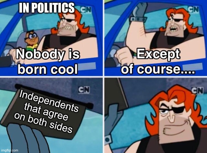 Both of you’all suck tbh, can’t we all just accept we have different opinions | IN POLITICS; Independents that agree on both sides | image tagged in nobody is born cool,liberals,red neck,republicans,democrats,independent | made w/ Imgflip meme maker