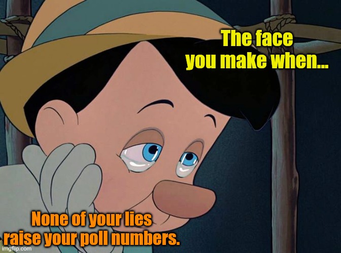 Pinocchijoe! | The face you make when... None of your lies raise your poll numbers. | made w/ Imgflip meme maker