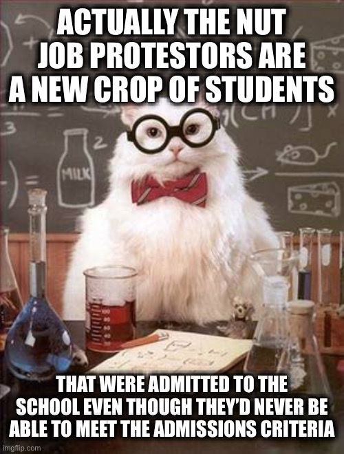 Science Cat Good Day | ACTUALLY THE NUT JOB PROTESTORS ARE A NEW CROP OF STUDENTS THAT WERE ADMITTED TO THE SCHOOL EVEN THOUGH THEY’D NEVER BE ABLE TO MEET THE ADM | image tagged in science cat good day | made w/ Imgflip meme maker