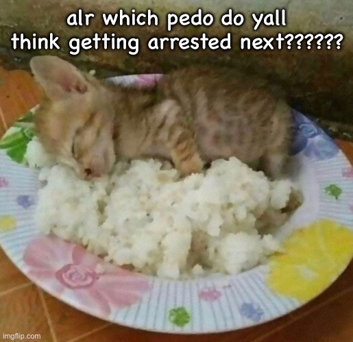 the meal | alr which pedo do yall think getting arrested next?????? | image tagged in the meal | made w/ Imgflip meme maker