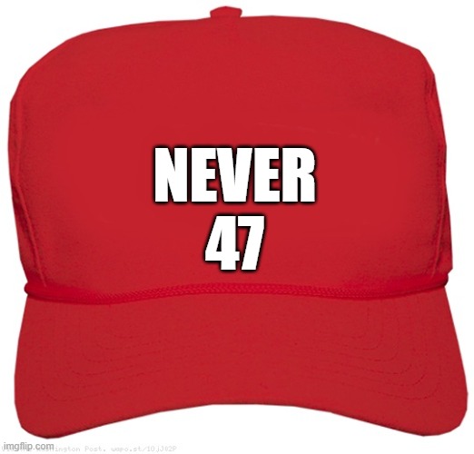 blank red 46 MAGA hat | NEVER
47 | image tagged in blank red maga hat,commie,fascist,dictator,change my mind,two buttons | made w/ Imgflip meme maker