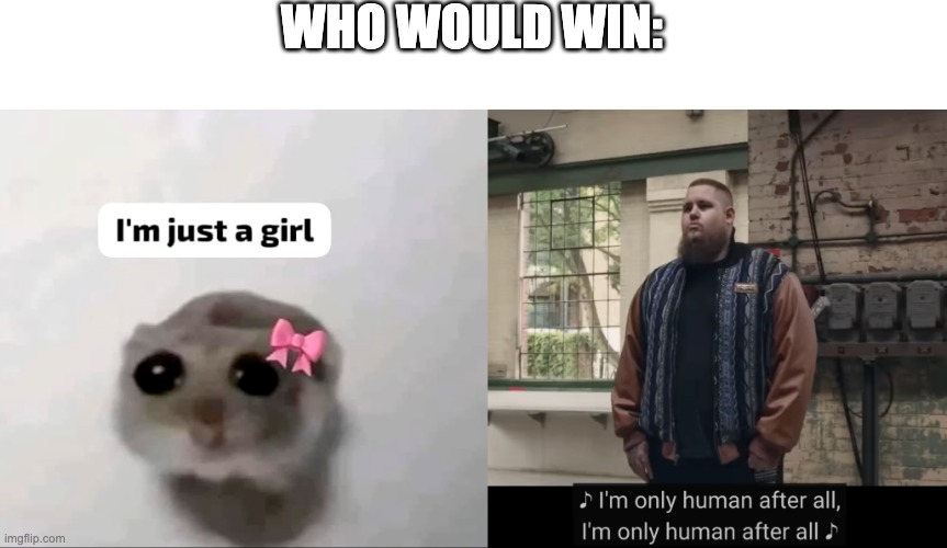 Battle of the Excuses | WHO WOULD WIN: | image tagged in i'm just a girl,sad hamster,i'm only human,human,who would win,excuses | made w/ Imgflip meme maker
