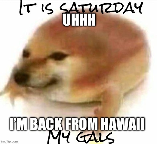 It is saturday | UHHH; I’M BACK FROM HAWAII | image tagged in it is saturday | made w/ Imgflip meme maker