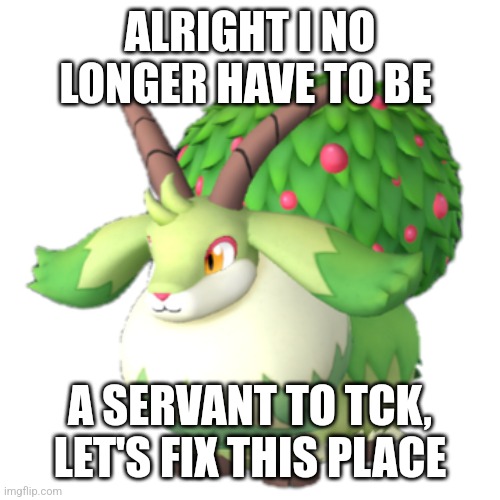 Amt to msmg | ALRIGHT I NO LONGER HAVE TO BE; A SERVANT TO TCK, LET'S FIX THIS PLACE | image tagged in caprity | made w/ Imgflip meme maker
