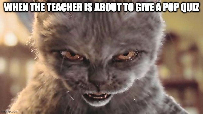 Evil Cat | WHEN THE TEACHER IS ABOUT TO GIVE A POP QUIZ | image tagged in evil cat | made w/ Imgflip meme maker